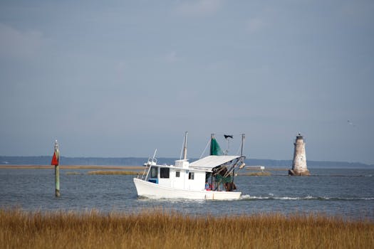 Získejte víc s bonusem: Průvodce odměnami v českých kasinech