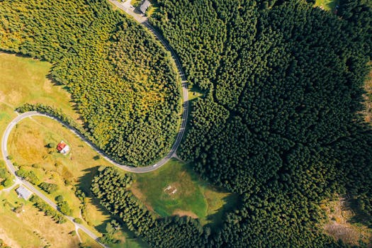 Online vs. Offline Kasina v ČR: Klíčové Rozdíly pro Hráče